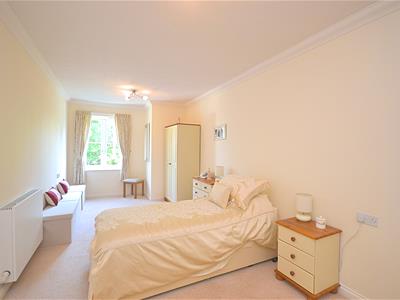 Picture 5
